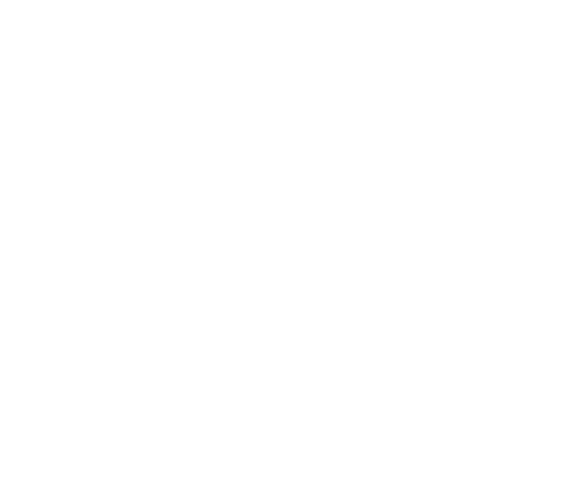 World Transit & Logistics